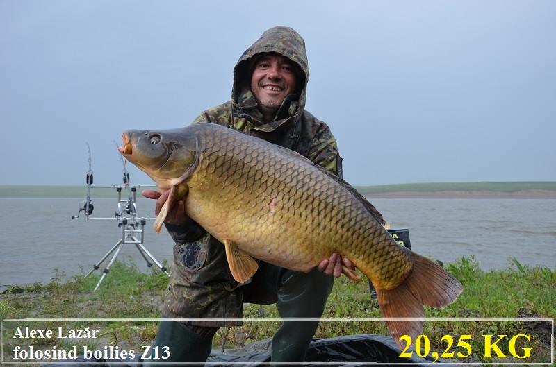 crapi de sarulesti - 558940658078060919843134825943n.jpg